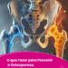 O que Fazer para Prevenir a Osteoporose.