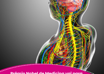 Prêmio Nobel de Medicina vai para pesquisas que mostraram como sistema imune se mantém em equilíbrio