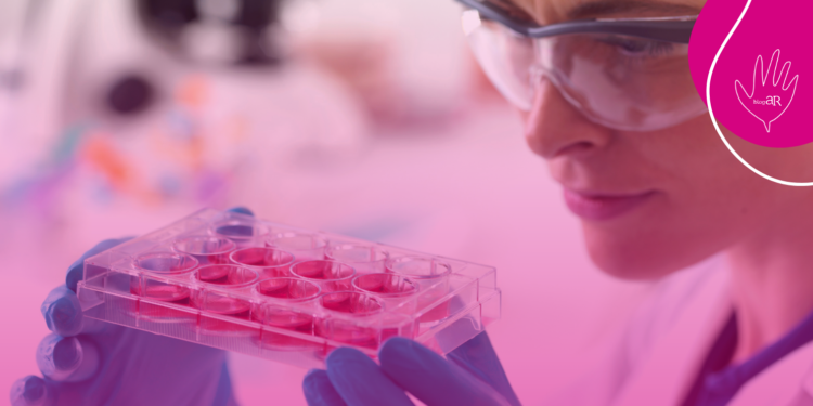 Consulta Pública nº 06/2026 – proposta de incorporação de lenalidomida para o tratamento de pacientes com mieloma múltiplo no SUS