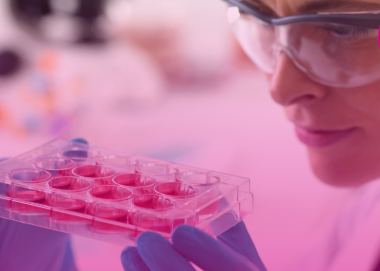 Consulta Pública nº 06/2026 – proposta de incorporação de lenalidomida para o tratamento de pacientes com mieloma múltiplo no SUS