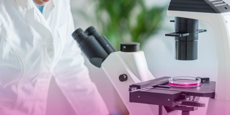 CNS debate sobre grupo de trabalho para acompanhar Política Nacional de Diagnóstico Laboratorial no SUS