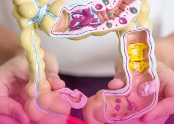 ANS promove Audiência Pública 63