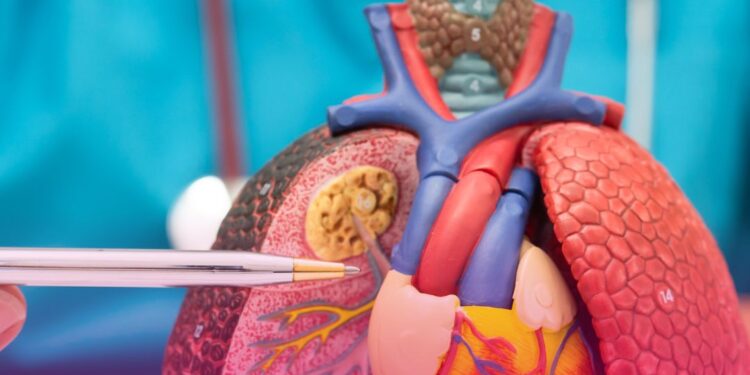 Consulta Pública 167: ANS recebe contribuições para atualização do Rol