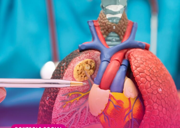 Consulta Pública 167: ANS recebe contribuições para atualização do Rol