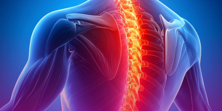 Dores nas costas? Ortopedista aponta hábitos que fortalecem a coluna.