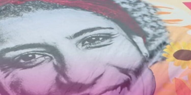 18ª Conferência Nacional de Saúde e enfrentamento ao feminicídio estarão em pauta na 376ª RO