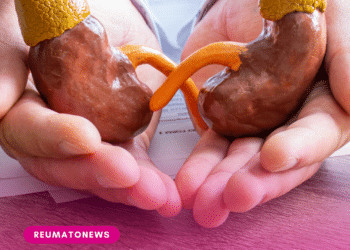 Doença renal crônica atinge milhões de brasileiros e pode começar ainda na infância