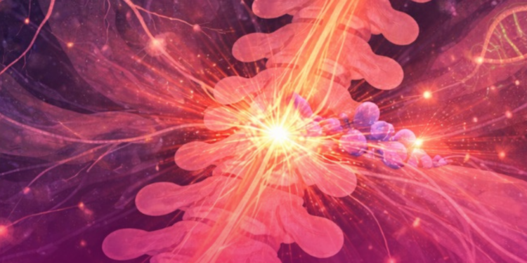 Polilaminina: o que falta para viabilizar o uso do medicamento