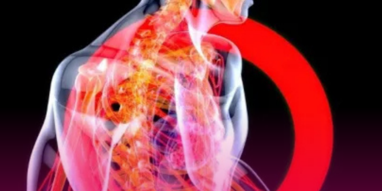 Cientistas descobrem ‘interruptor secreto’ do corpo que desliga inflamações.