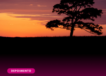 O verdadeiro heroísmo consiste em persistir quando tudo parece perdido