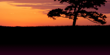 O verdadeiro heroísmo consiste em persistir quando tudo parece perdido