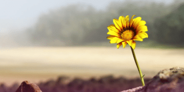 Aceite a doença e busque um médico de confiança