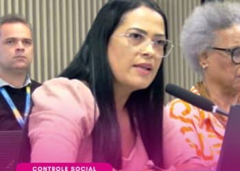 Controle social leva ao CNS alertas sobre falta de medicamentos, doenças crônicas, trabalho, violência e direitos humanos