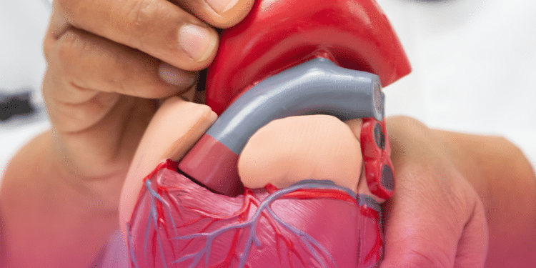 Anvisa aprova semaglutida oral para redução do risco cardiovascular em adultos.