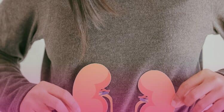 Conitec abre consultas públicas sobre leucemia mieloide crônica e doença renal crônica: contribuições podem ser enviadas até 20 de julho