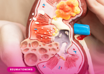Conitec abre consulta pública sobre atualização do protocolo de cuidado da doença renal crônica, veja o que pode mudar