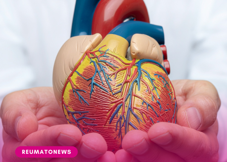Cardiomiopatia hipertrófica: entenda a doença do coração que pode ser agravada por anabolizantes