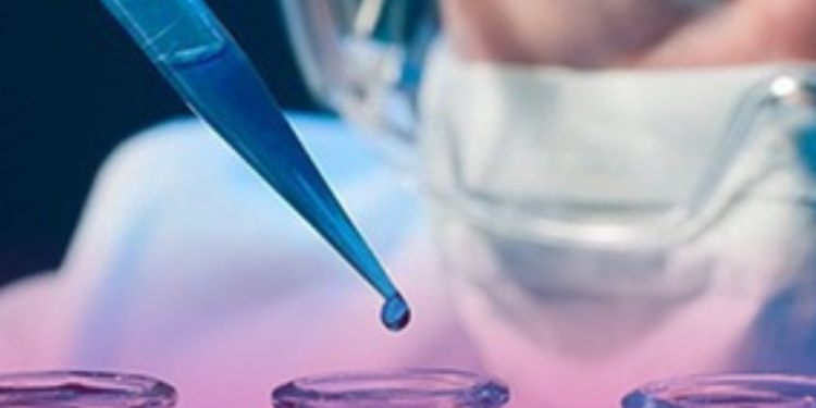 CNS abre inscrições para recomposição da Conep