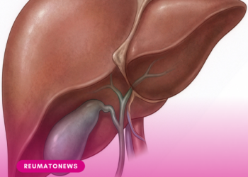 ANS aprova colangioscopia com litotripsia e recomenda preliminarmente não incorporar somatrogona e cabozantinibe.
