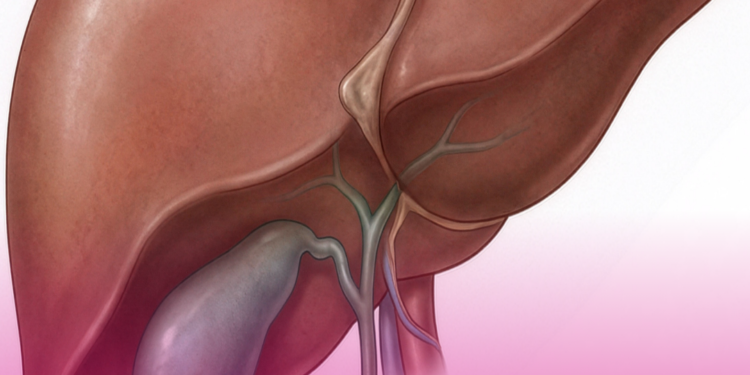 ANS aprova colangioscopia com litotripsia e recomenda preliminarmente não incorporar somatrogona e cabozantinibe.