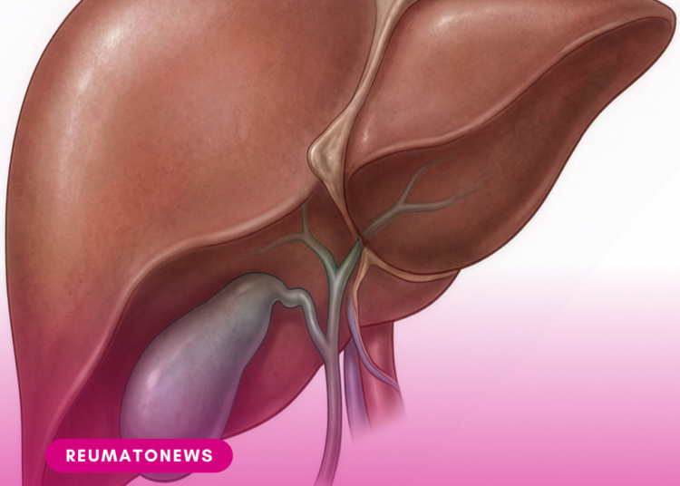 ANS aprova colangioscopia com litotripsia e recomenda preliminarmente não incorporar somatrogona e cabozantinibe.