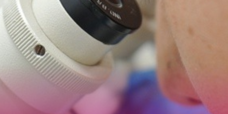 CNS prorroga inscrições para recomposição da Conep